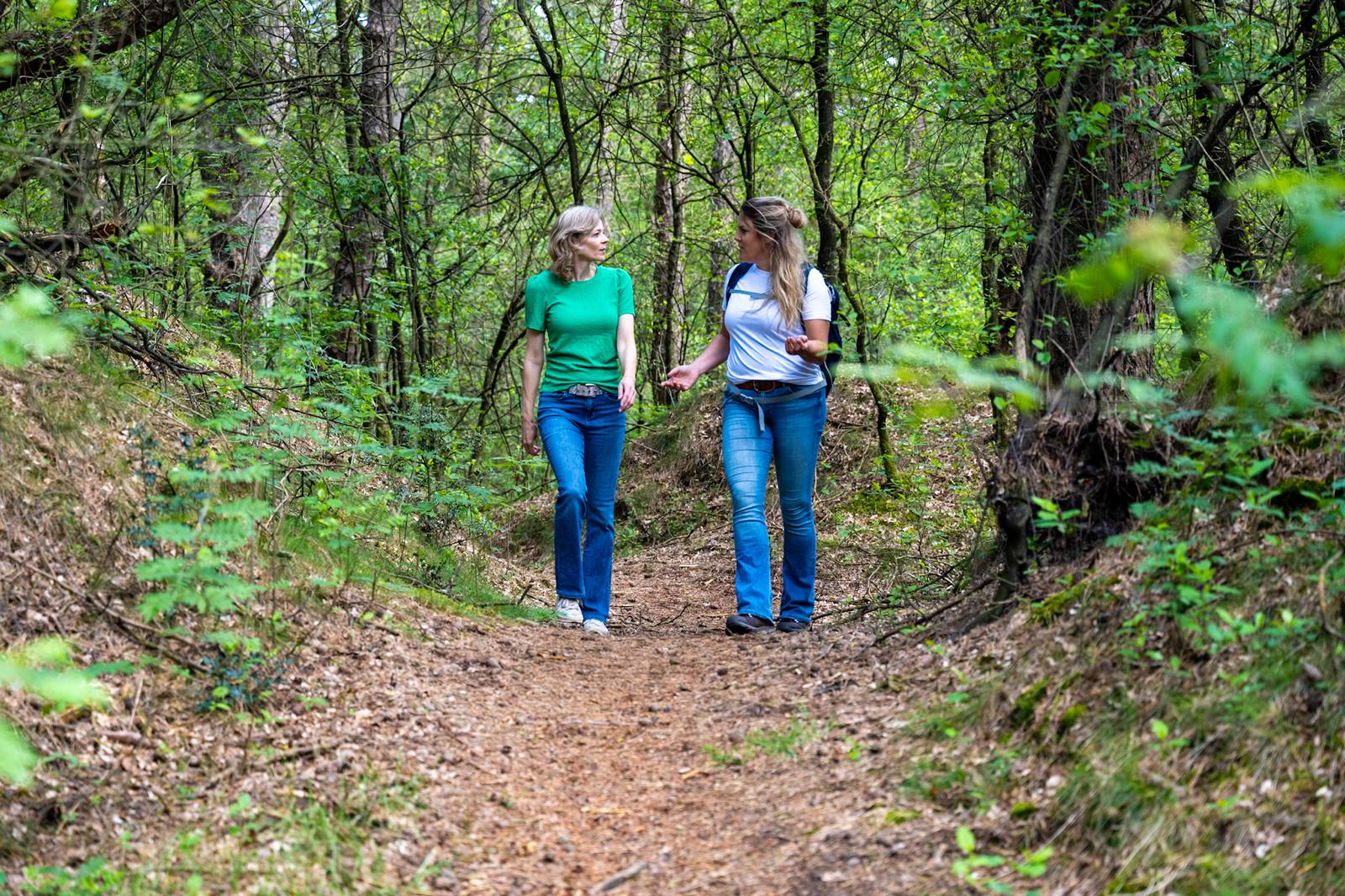 Wat is wandelcoaching