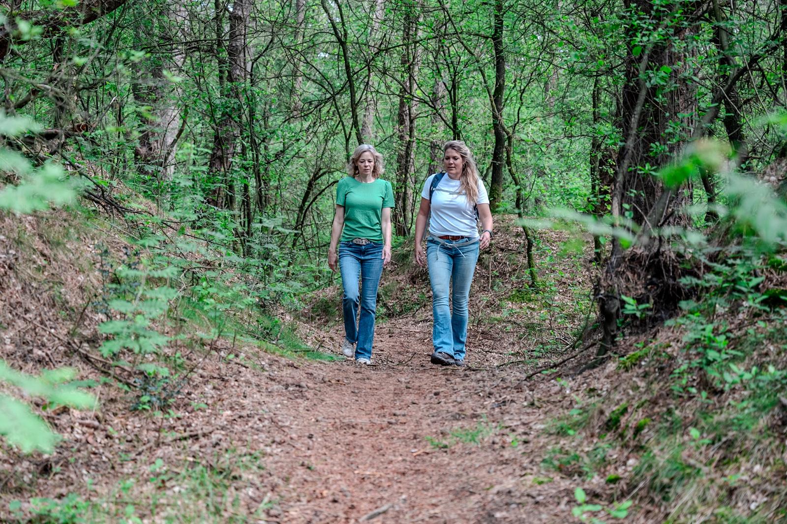 Wat is wandelcoaching